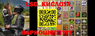 гидра Кандалакша
